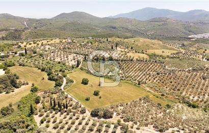 KUŞADASINDA DENİZ MANZARALI SATILIK TARLAFavorilerime EkleYazdırFacebook ile paylaş X ile paylaş E-posta ile gönder