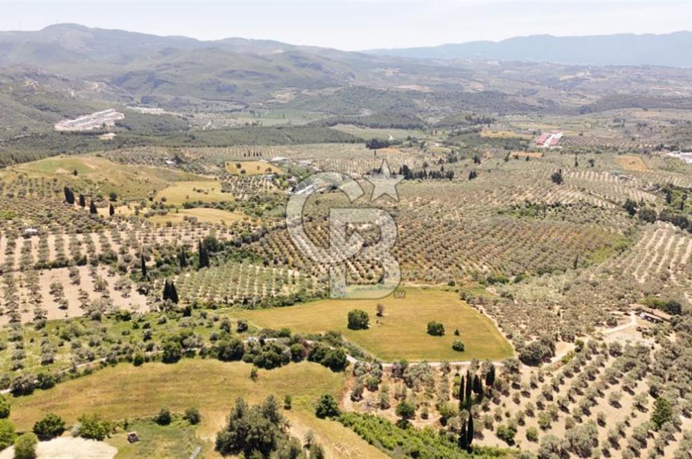 KUŞADASINDA DENİZ MANZARALI SATILIK TARLAFavorilerime EkleYazdırFacebook ile paylaş X ile paylaş E-posta ile gönder