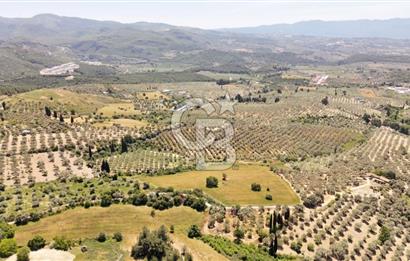 KUŞADASINDA DENİZ MANZARALI SATILIK TARLAFavorilerime EkleYazdırFacebook ile paylaş X ile paylaş E-posta ile gönder