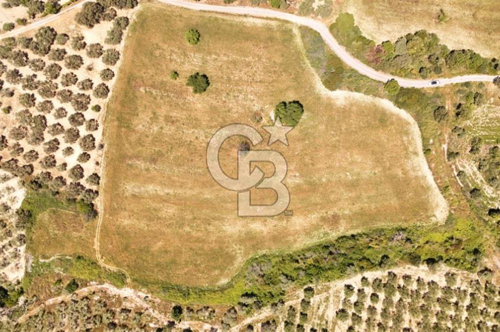 KUŞADASINDA DENİZ MANZARALI SATILIK TARLAFavorilerime EkleYazdırFacebook ile paylaş X ile paylaş E-posta ile gönder