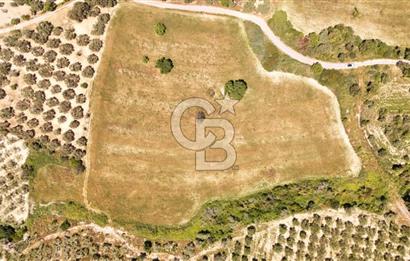 KUŞADASINDA DENİZ MANZARALI SATILIK TARLAFavorilerime EkleYazdırFacebook ile paylaş X ile paylaş E-posta ile gönder