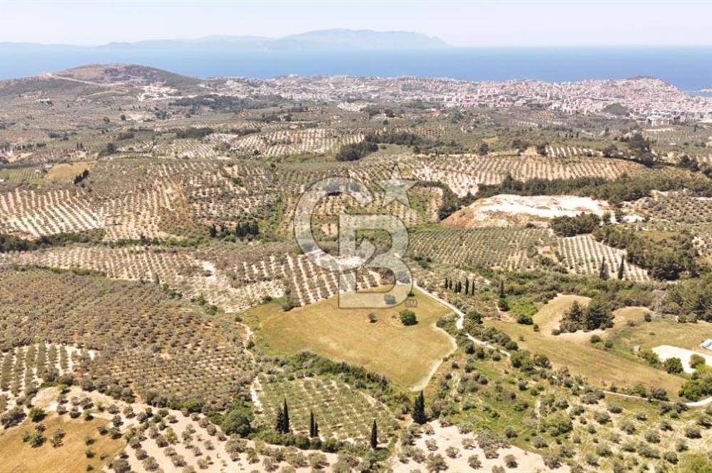 KUŞADASINDA DENİZ MANZARALI SATILIK TARLAFavorilerime EkleYazdırFacebook ile paylaş X ile paylaş E-posta ile gönder