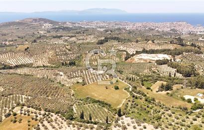 KUŞADASINDA DENİZ MANZARALI SATILIK TARLAFavorilerime EkleYazdırFacebook ile paylaş X ile paylaş E-posta ile gönder