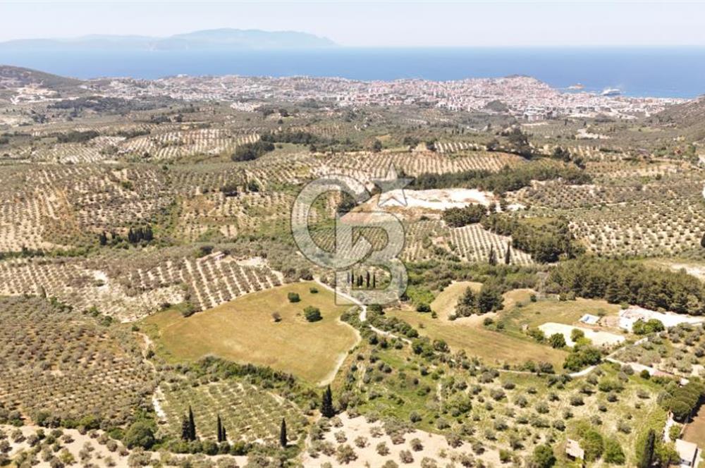 KUŞADASINDA DENİZ MANZARALI SATILIK TARLAFavorilerime EkleYazdırFacebook ile paylaş X ile paylaş E-posta ile gönder