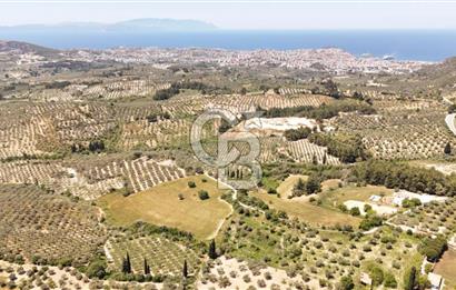 KUŞADASINDA DENİZ MANZARALI SATILIK TARLAFavorilerime EkleYazdırFacebook ile paylaş X ile paylaş E-posta ile gönder