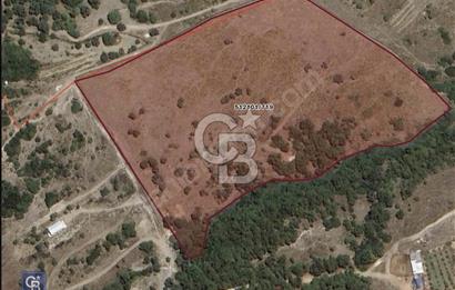 İzmir Foça / Kozbeyli Yan Yana 2 Adet 250 m² 2B Arazisi