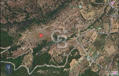 İzmir Foça / Kozbeyli Yan Yana 2 Adet 250 m² 2B Arazisi