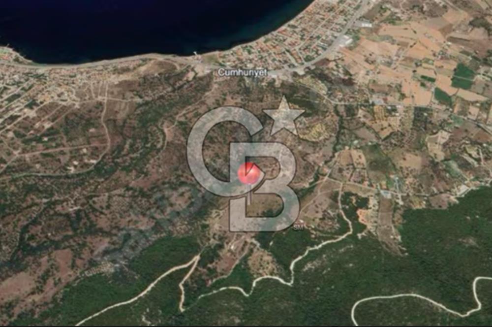 İzmir Foça / Kozbeyli Yan Yana 2 Adet 250 m² 2B Arazisi