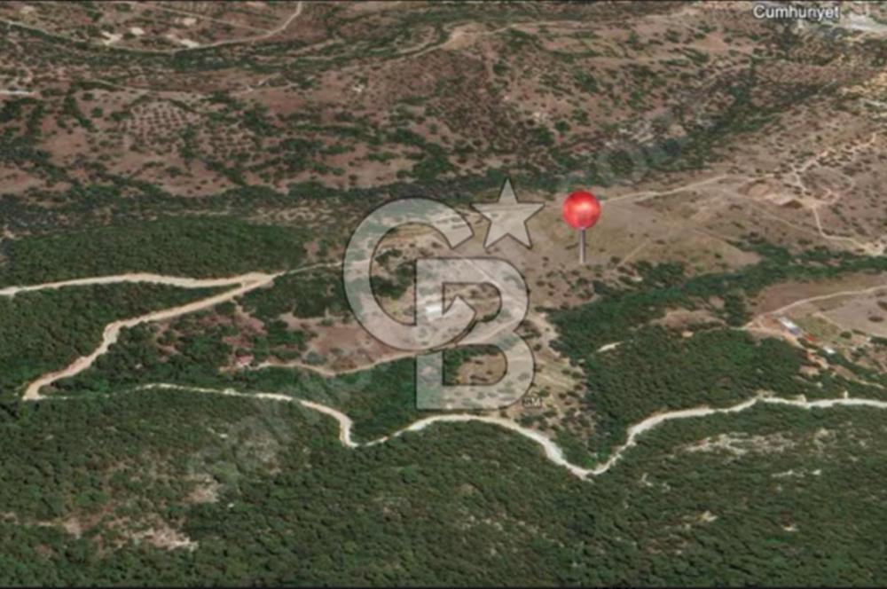 İzmir Foça / Kozbeyli Yan Yana 2 Adet 250 m² 2B Arazisi