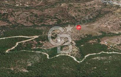 İzmir Foça / Kozbeyli Yan Yana 2 Adet 250 m² 2B Arazisi