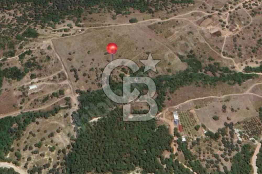 İzmir Foça / Kozbeyli Yan Yana 2 Adet 250 m² 2B Arazisi