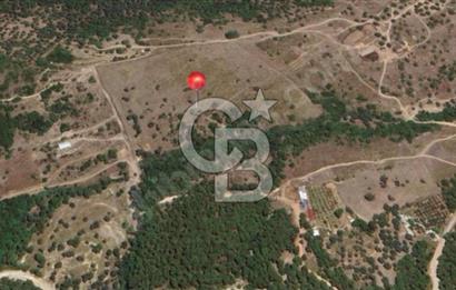 İzmir Foça / Kozbeyli Yan Yana 2 Adet 250 m² 2B Arazisi