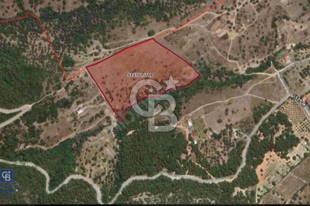 İzmir Foça / Kozbeyli Yan Yana 2 Adet 250 m² 2B Arazisi