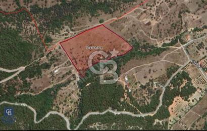 İzmir Foça / Kozbeyli Yan Yana 2 Adet 250 m² 2B Arazisi