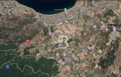 İzmir Foça / Kozbeyli Yan Yana 2 Adet 250 m² 2B Arazisi