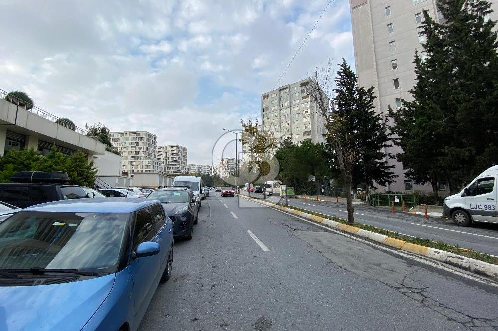 BARIŞ MAH. İŞLEK CADDE ÜZERİ TEKEL BAYİİ