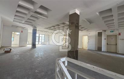 BORNOVA MTK SİTESİNDE 4 KATLI KİRALIK BİNA