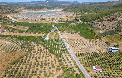 SEFERİHİSARDA MERKEZE YAKIN 1.677 m² TARLA & BAĞ