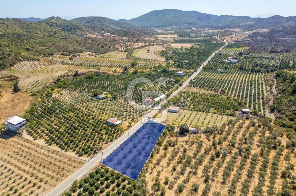 SEFERİHİSARDA MERKEZE YAKIN 1.677 m² TARLA & BAĞ