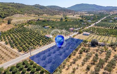 SEFERİHİSARDA MERKEZE YAKIN 1.677 m² TARLA & BAĞ