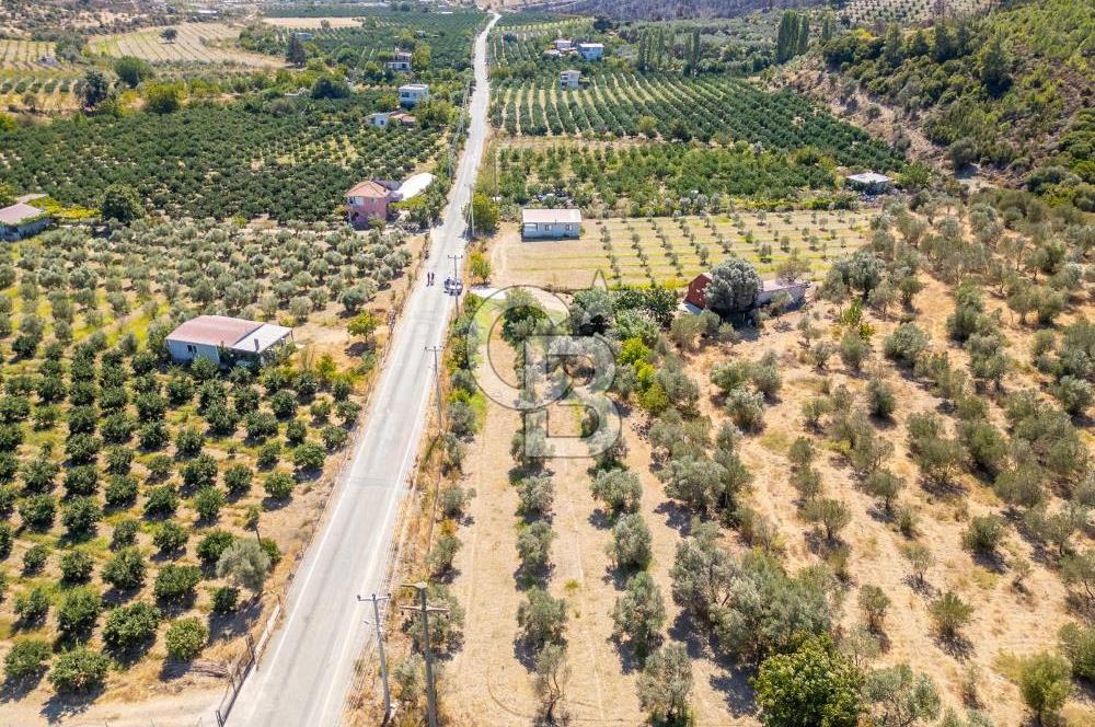 SEFERİHİSARDA MERKEZE YAKIN 1.677 m² TARLA & BAĞ