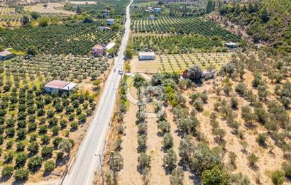 SEFERİHİSARDA MERKEZE YAKIN 1.677 m² TARLA & BAĞ