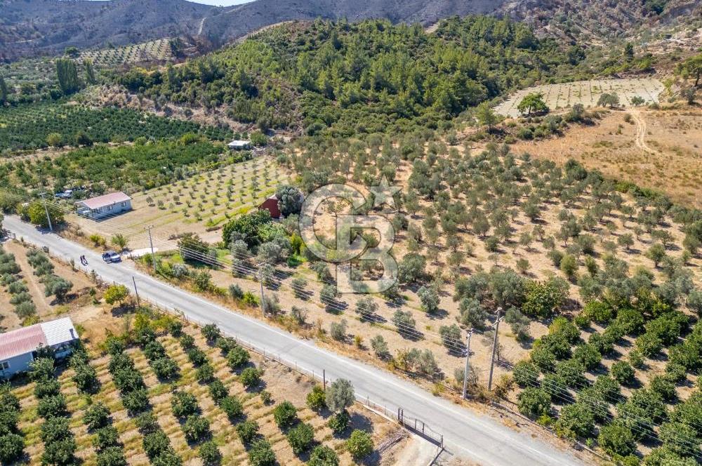 SEFERİHİSARDA MERKEZE YAKIN 1.677 m² TARLA & BAĞ