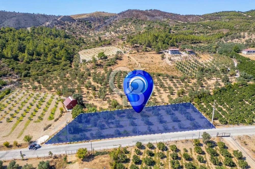 SEFERİHİSARDA MERKEZE YAKIN 1.677 m² TARLA & BAĞ