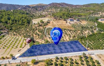 SEFERİHİSARDA MERKEZE YAKIN 1.677 m² TARLA & BAĞ