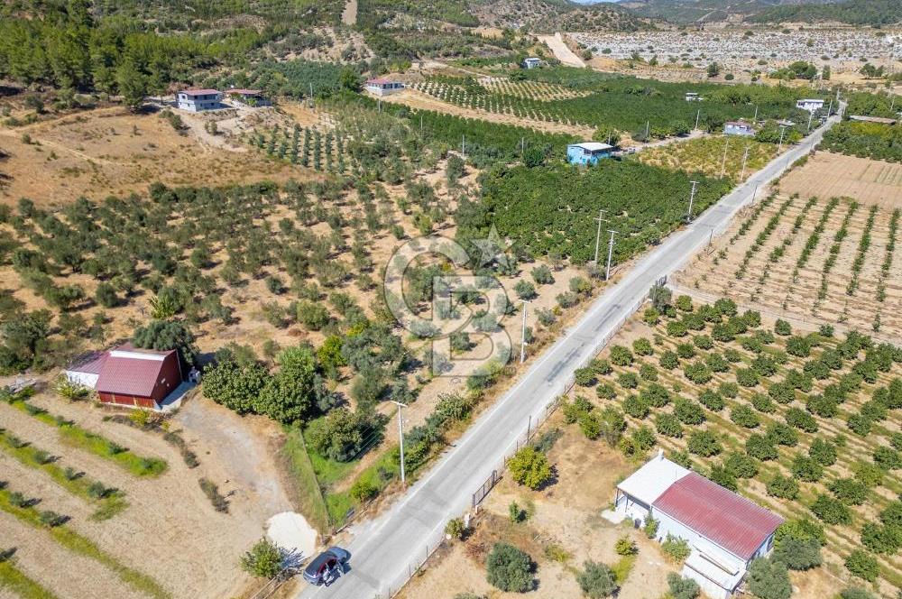 SEFERİHİSARDA MERKEZE YAKIN 1.677 m² TARLA & BAĞ