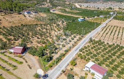 SEFERİHİSARDA MERKEZE YAKIN 1.677 m² TARLA & BAĞ