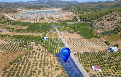 SEFERİHİSARDA MERKEZE YAKIN 1.677 m² TARLA & BAĞ