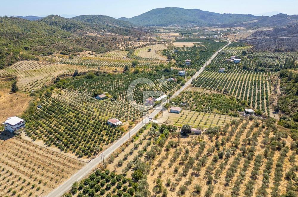 SEFERİHİSARDA MERKEZE YAKIN 1.677 m² TARLA & BAĞ