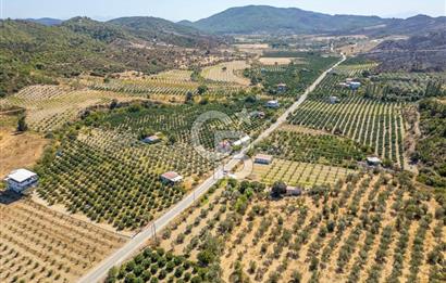 SEFERİHİSARDA MERKEZE YAKIN 1.677 m² TARLA & BAĞ