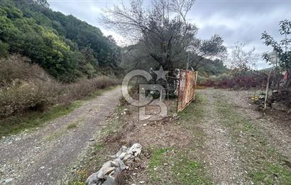 SEFERİHİSAR BEYLERDE 19.549 m² ÜZÜM BAĞI VE ZEYTİNLİK FIRSATI