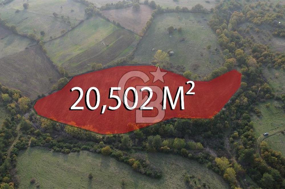 Çanakkale Bayrami.  Hacıdervişler De 20.502 M² Satılık Tarla !