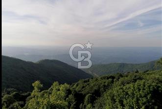 SAKARYA ERENLER DEĞİRMENDERE'DE FINDIK BAHÇESİ - 8 - 319531
