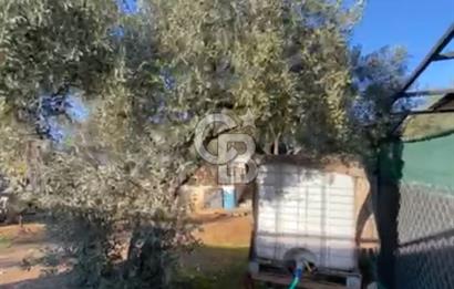 BUCA KIRIKLAR KÖYÜNDE SATILIK EV VE HOBİ BAHÇESİ