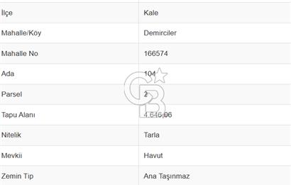 Kale Demirciler Mah. 4.646 M² Satılık Tarla