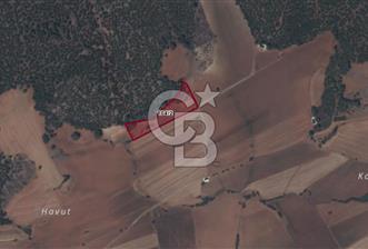 Kale Demirciler Mah. 4.646 M² Satılık Tarla - 4 - 319840