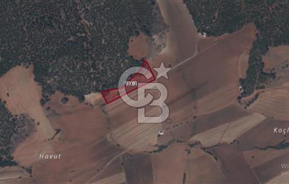 Kale Demirciler Mah. 4.646 M² Satılık Tarla