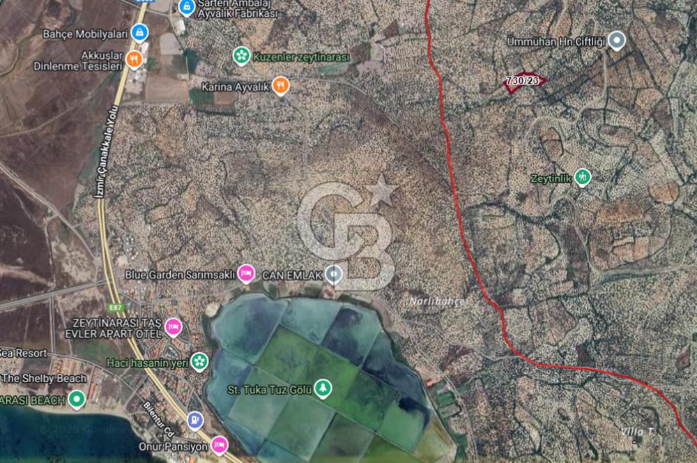 Ayvalık Kemalpaşa Mahallesinde Satılık Zeytinlik