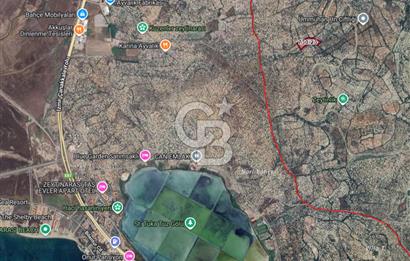 Ayvalık Kemalpaşa Mahallesinde Satılık Zeytinlik