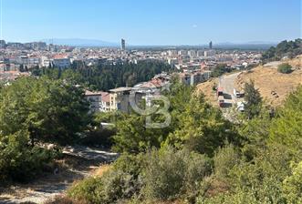 Çetin Emeç'te Bulunmaz Nimet. - 10 - 319820