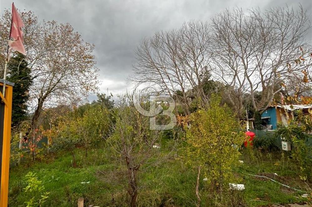 Dereköy'de Bulunan Harika Kaçamak Yeri