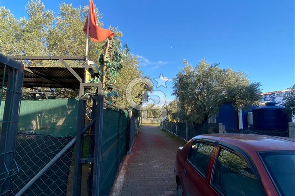 BUCA KIRIKLAR KÖYÜNDE SATILIK EV VE HOBİ BAHÇESİ