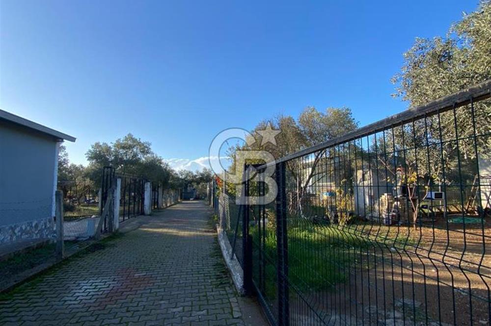 BUCA KIRIKLAR KÖYÜNDE SATILIK EV VE HOBİ BAHÇESİ