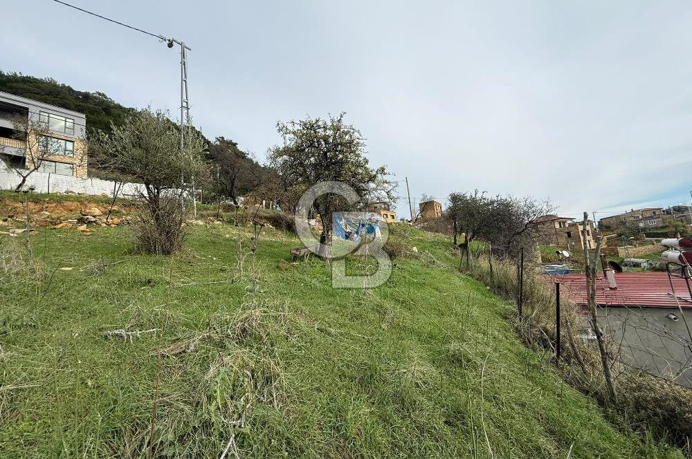 ÇANAKKALE AYVACIK ARIKLI 414 M2 KÖY İÇİ İMARLI ARSA