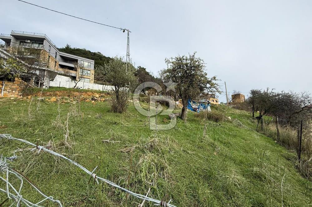 ÇANAKKALE AYVACIK ARIKLI 414 M2 KÖY İÇİ İMARLI ARSA