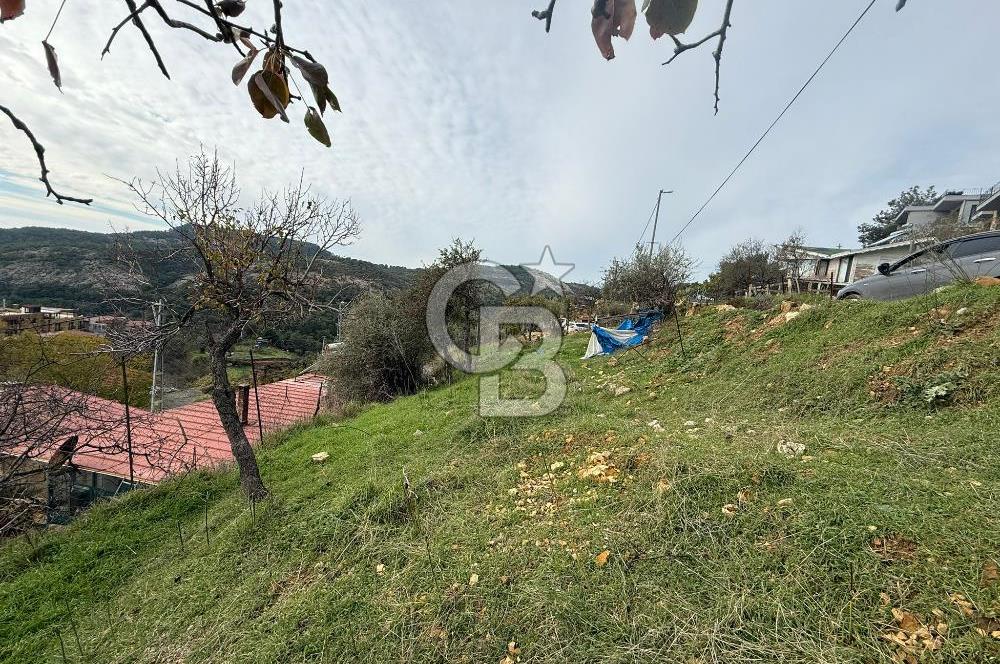 ÇANAKKALE AYVACIK ARIKLI 414 M2 KÖY İÇİ İMARLI ARSA